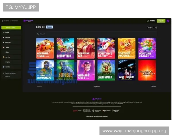 PG国际下载官方客户端下载安装指南，帮助新手玩家顺利开启精彩游戏之旅