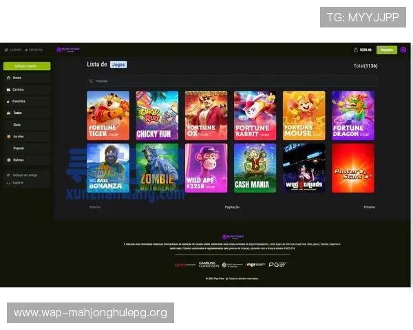 PG娱乐正规网址大全汇聚优质游戏平台资源，保障玩家资金安全与游戏体验提升